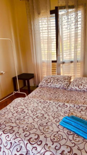 Garden view guestroom